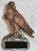6 inch tall Hawk school team mascot statue